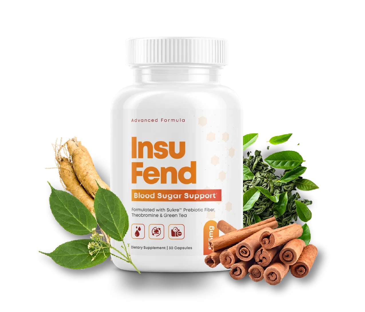 Insufend supplement bottle — Doctor-Formulated Blood Sugar Support Formula